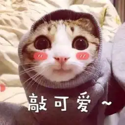  萌新攻略巴啦啦能量变成学霸你准备好了吗