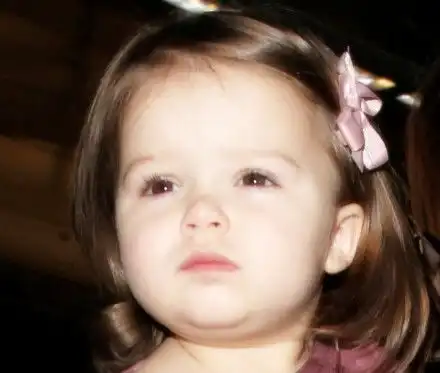 适合做头像的呆萌小七哈珀 适合做头像的呆萌小七哈珀