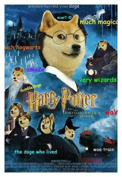  一张照片火遍全球成为表情包王者这只柴犬过16岁生日啦