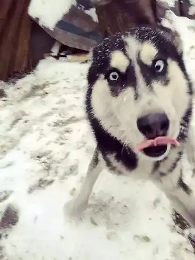  谢谢你,工程技术之声