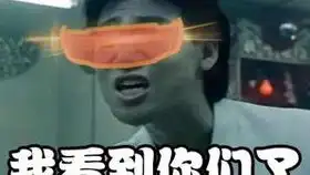 熊猫写字表情包原图守望