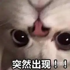 捏小猫脸的表情包