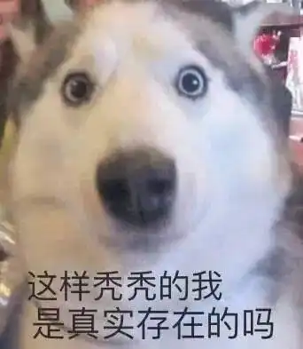 不是你的掉发表情包秃头