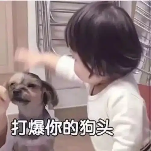 表情包敲搞笑沙雕斗图表情包