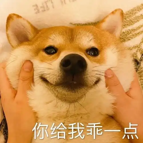  你家臭宝无法拒绝的憨憨表情包