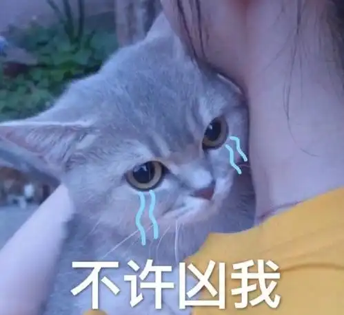  妹子,你想多了吧,人家又不是来欢迎你的