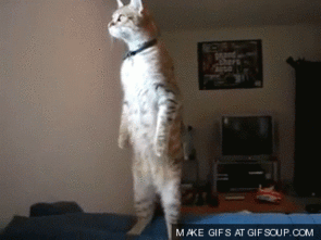 请你跟我这样做8个让你越来越健康的小撇步 请你跟我这样做8个让你越来越健康的小撇步