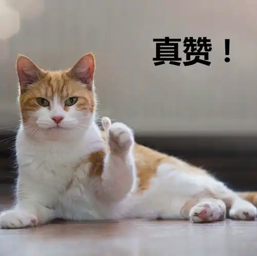  答答答奖奖奖南沙知多少h5有奖问答开始啦