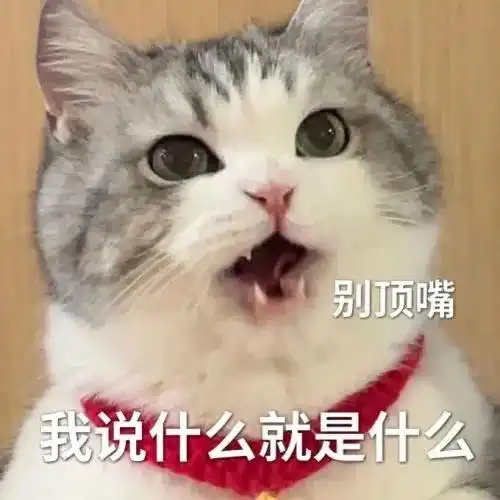  黑猫舔爪表情包微信怎么搜今日头条