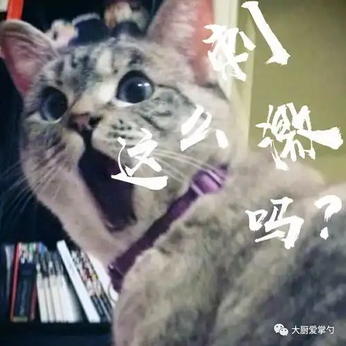 兄弟你好香猫猫表情包