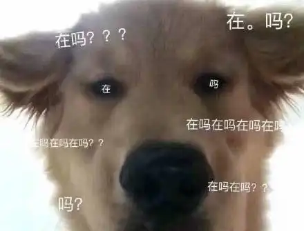  表情包问对方在吗的表情包在干嘛,有点想你