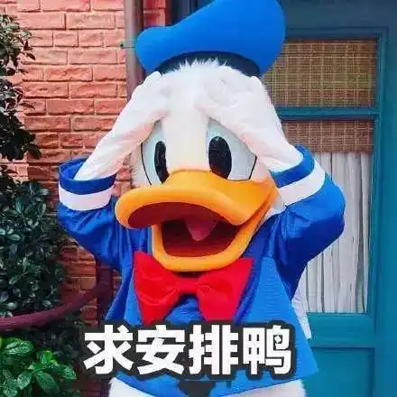 edg是什么意思表情包鸭