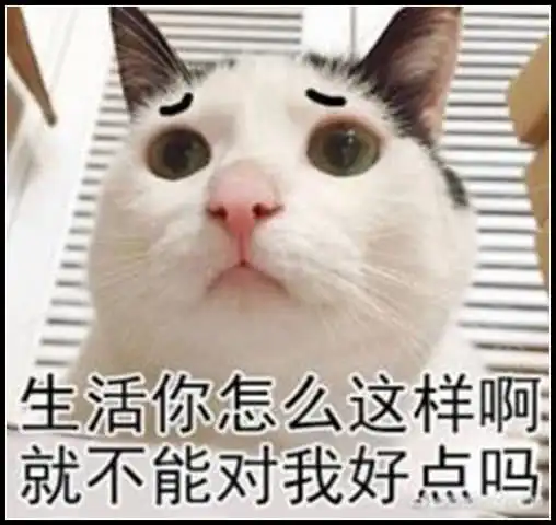  表情表情包不喜欢你不爱你讨厌你表情