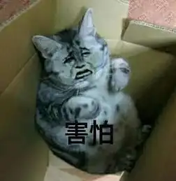  萌你一脸可爱小猫咪表情包集锦