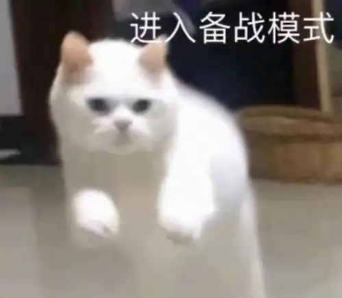  同是高分国产战争题材,为何长津湖和功勋感觉不同