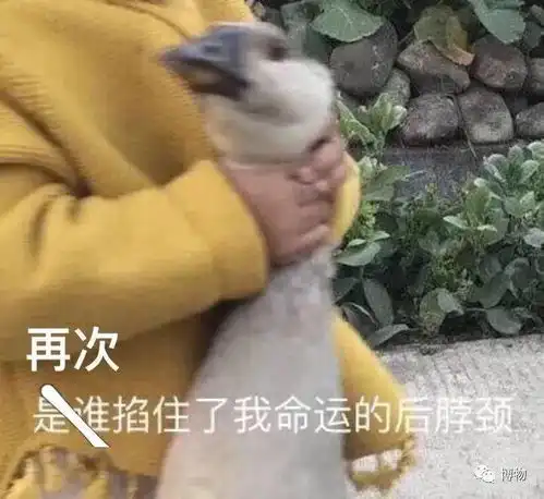  古装剧里的妃子专睡瓷枕头,脑袋都是铁做的吗