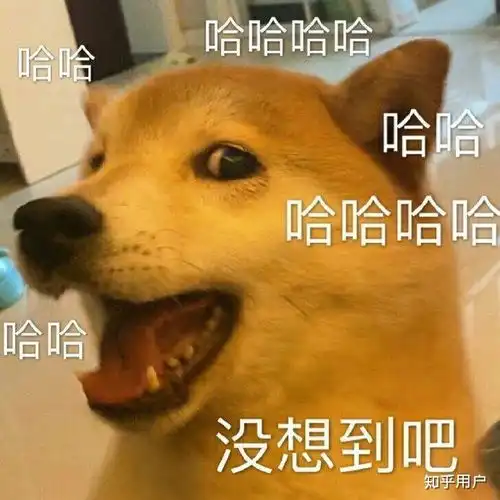  遵义医科大学医学与科技学院现在新校区和遵义医科大学师资一样吗综合评价怎么样