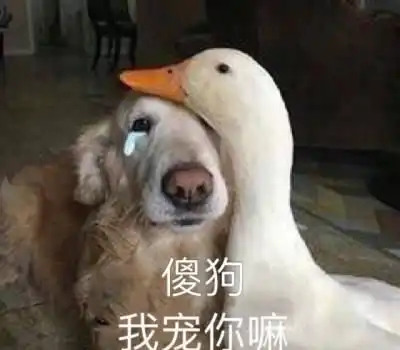  每日一笑你这常规纪律咋抓的丢人不
