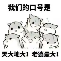  19视频直播全集19资料大全yy官方