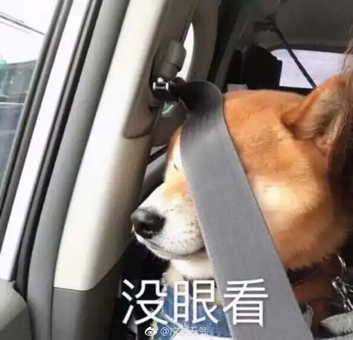  2020新生儿爆款名字出炉深圳人千万别叫...