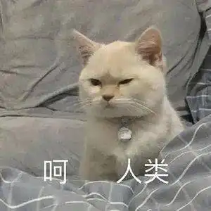  沙雕表情包等你回消息的我