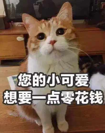  性价比no.1宜居城市世界第22,澳洲第3,因为她放弃猫本悉尼的不在少数