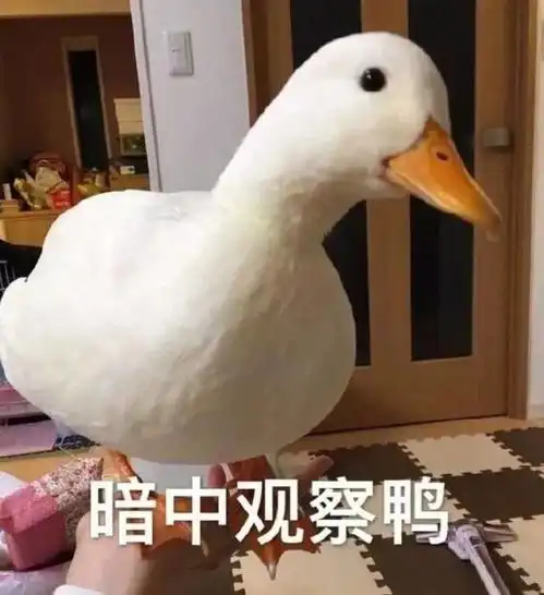 edg是什么意思表情包对