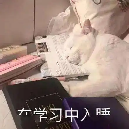 精选沙雕表情包来评论聊天啦
