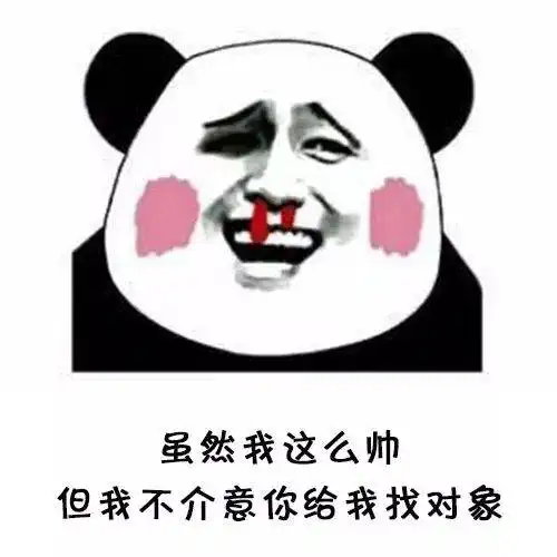 沙雕表情包熊猫头图