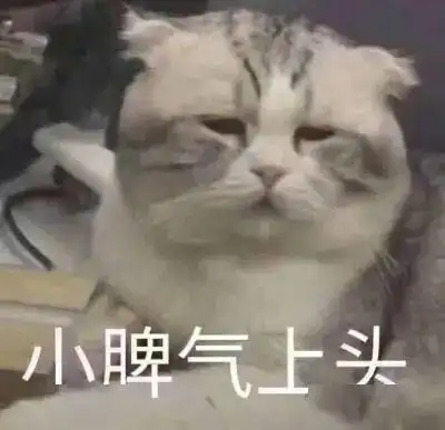  11号台风红霞来了广东多地发布预警暴雨杀到...