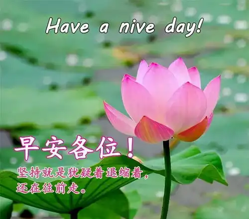  新版早上好问候语唯美温馨句子,群发微信清晨祝福语问候图片表情