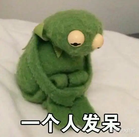  你忍不住想看第二遍的一个视频是什么