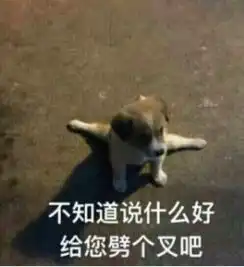  这是什么胶