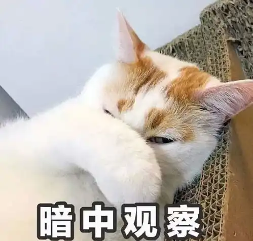  00后大学生月入70万,你开始焦虑