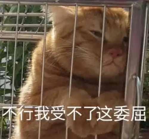  起床困难户往这儿看啦