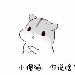 小仓鼠表情包图片大全中