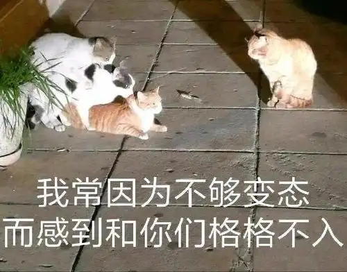 沙雕狗子表情包与我争锋