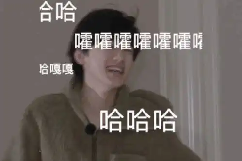 搞笑的动图表情包爆笑