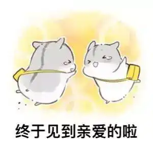  可爱仓鼠表情包