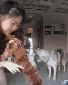  你遇到过最恶心的事是什么网友的回复笑死我了哈哈哈硫磺皂长颈鹿蛋糕