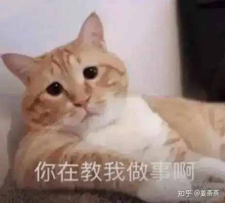 ﻿表情包搞笑沙雕金晨一