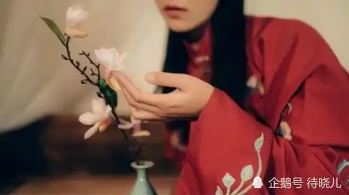  诗经君子偕老看似赞美的言辞里,却包含着辛辣的嘲讽