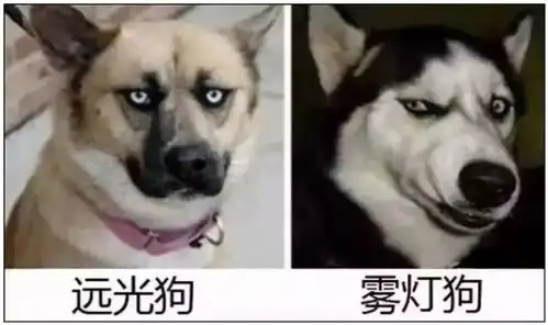  成都新动作国庆路上一个电话搞定三快不拥堵