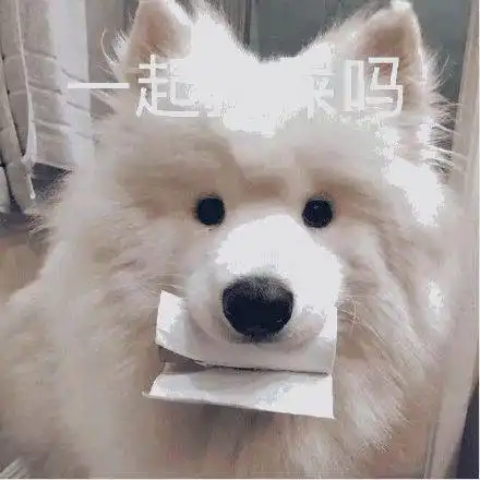  不理我是吧我在线撒网