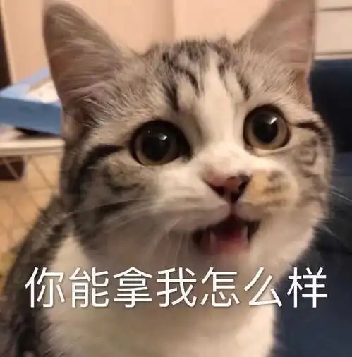  男生发猫猫狗狗的可爱表情包会是渣男吗为什么