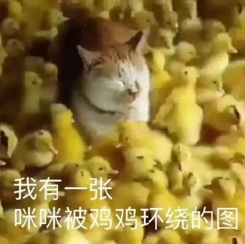  搞笑gif陪女朋友来看风景,总感觉身子很累很累