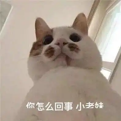  奇怪明明有停车位,这共享单车却怎么都停不进去回应来了