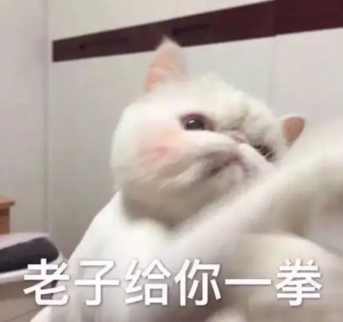  公司运营小姐姐们的真实面目竟然是这样的...