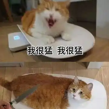  骚年好好学着点吧