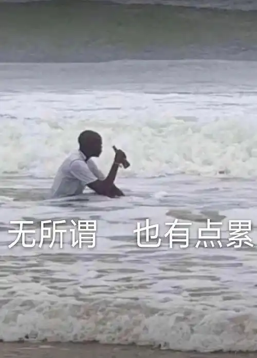  有人学遥感吗